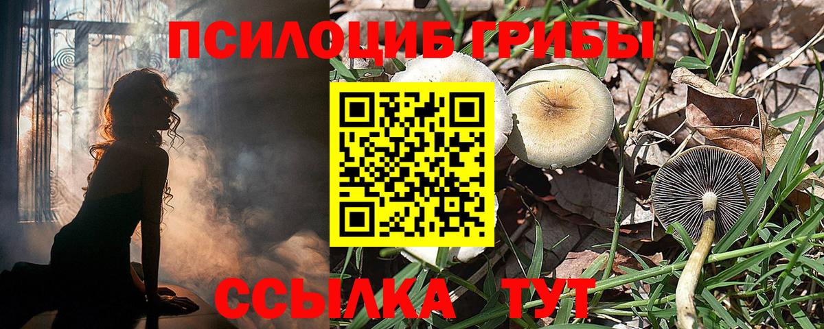 Псилоцибиновые грибы GOLDEN TEACHER Братск