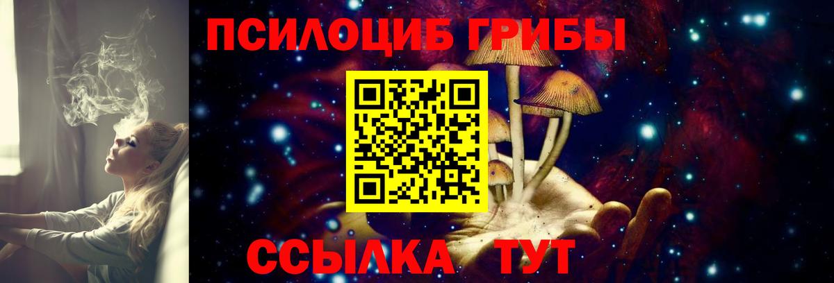 Галлюциногенные грибы MAGIC MUSHROOMS  Вход с VPN  Братск 